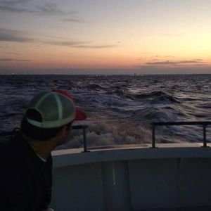 Meet your Posher, Bobby